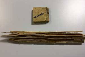 Les dégâts causés par les termites